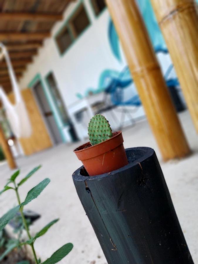 דירות אוביטה Flor De Bambu מראה חיצוני תמונה